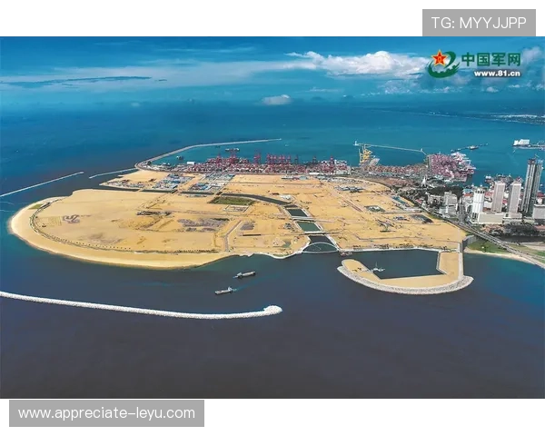 瓦伦西亚俱乐部百年沉浮与西甲荣耀复兴之路探索全景纪实发展启示录