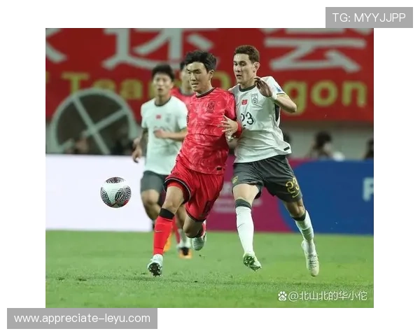 中国足球队逆袭成功成功晋级世界杯亚洲区预选赛最后阶段球迷欢呼声一片 中国足球队逆袭成功成功晋级世界杯亚洲区预选赛最后阶段球迷欢呼声一片