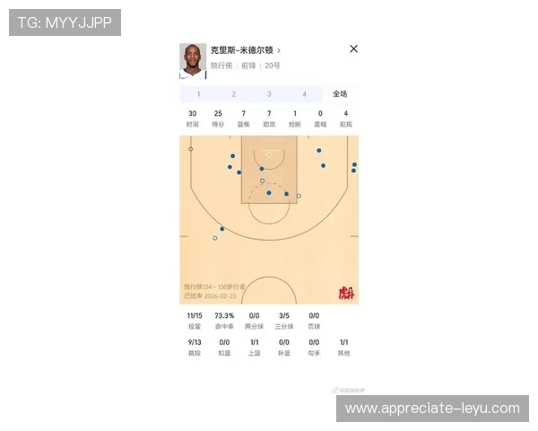 独行侠新赛季崛起之路球员组合与战术全面解析
