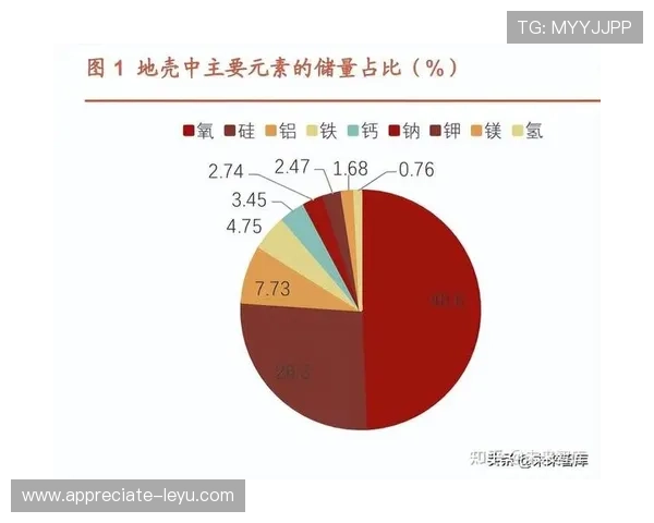 尼斯主力阵容全面解析与赛季潜力展望